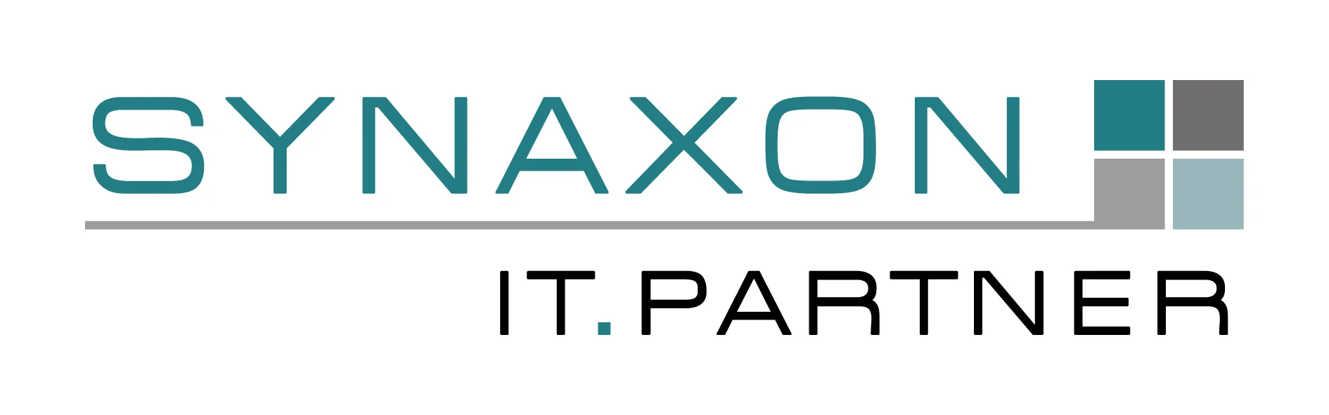  Synaxon IT Partner 